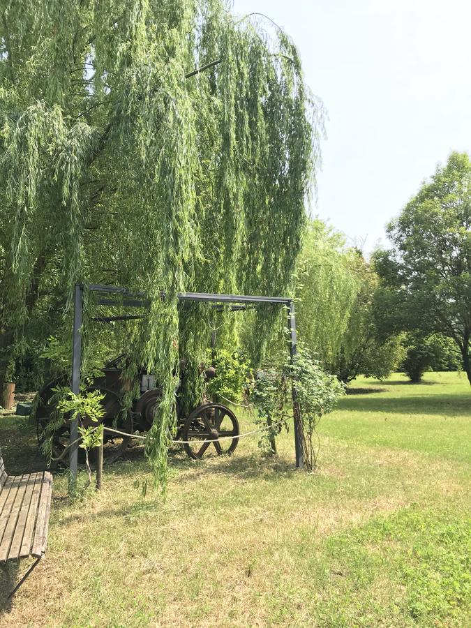 Agriturismo Corte Salandini Hotel Ponti sul Mincio Kültér fotó