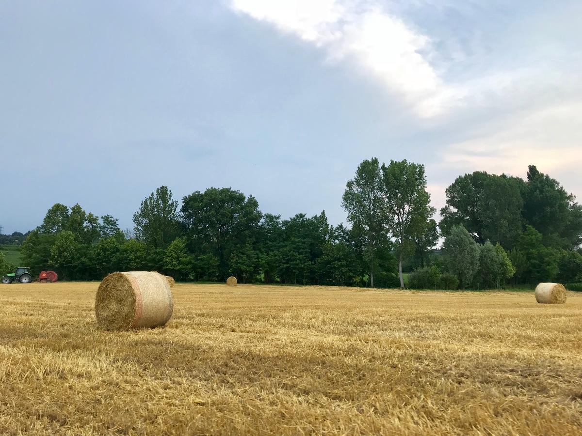 Agriturismo Corte Salandini Hotel Ponti sul Mincio Kültér fotó